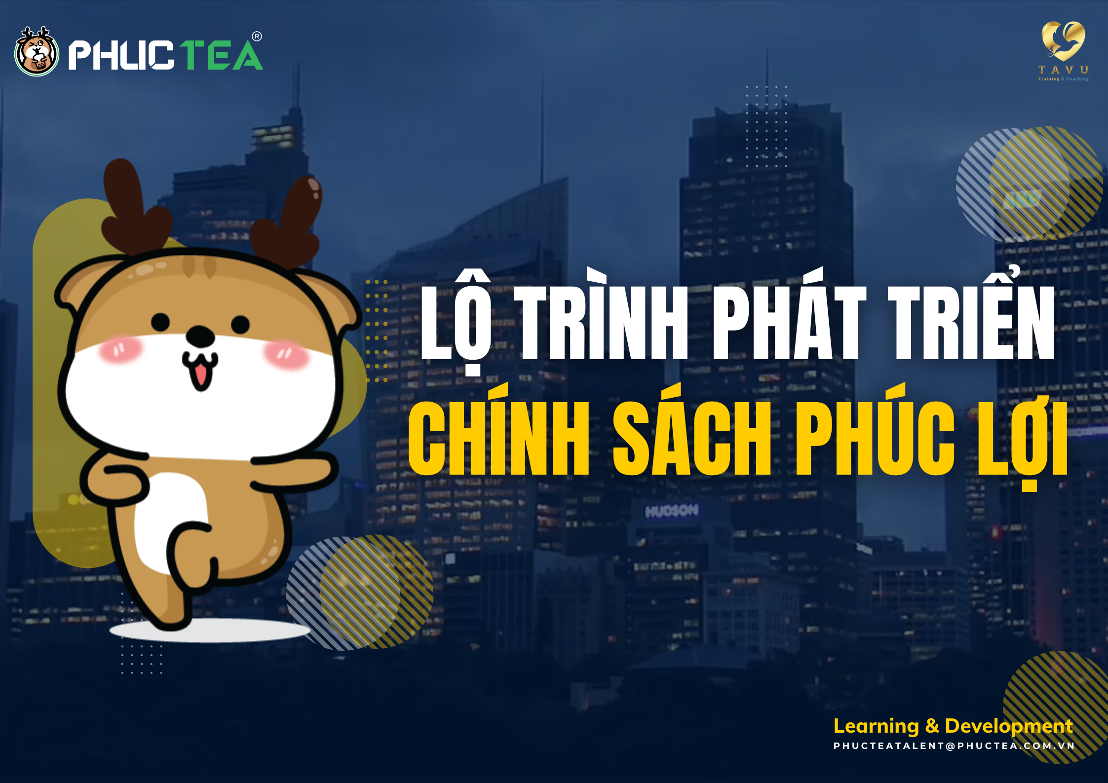 Lộ trình phát triển và chính sách đãi ngộ